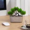 Bonsai cserépben - Műnövény dekoráció 20 cm