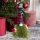 Karácsonyi Manó tuja testű, kockás sapi, piros 35 cm