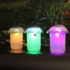 Napelemes kerti lámpa Színváltó RGB Dupla LED-el MOMO