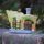 Tündérkert nyári csigaház lak 18 cm Deconline Fairy Garden
