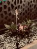 Napelemes Tündér lámpa színváltó 45 cm Deconline Garden