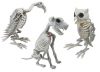 XL halloweeni állat csontváz kutya, bagoly, keselyű